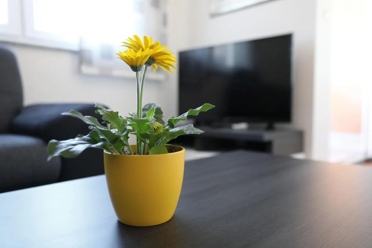 Apartment Dora Preko 0*,